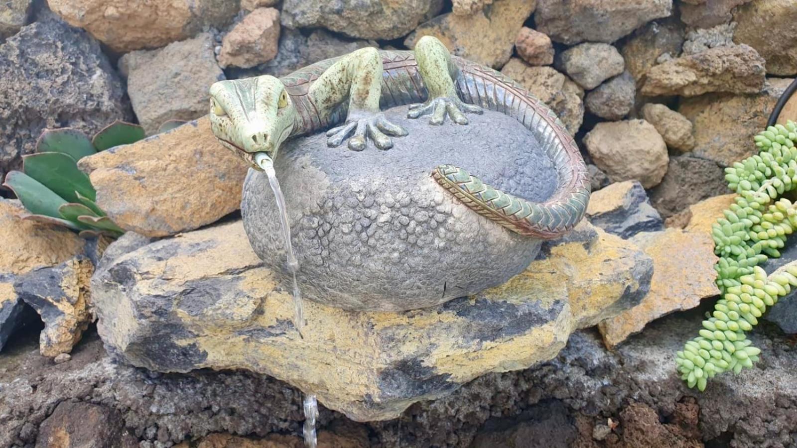 Maracuya